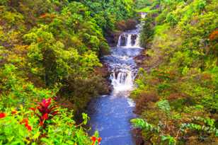 Umauma Falls-8603.jpg Umauma Falls-8603.jpg